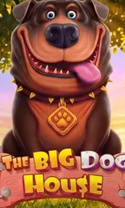 The Big Dog House